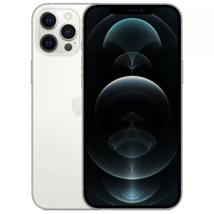 Apple iPhone 12 Pro Max Argent 128Go Reconditionné Parfait état - Photo 1/3