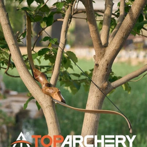 Archery 60'' Takedown Recurve Bow Wooden Long Bow for Right Hand Target Hunting - Picture 1 of 11