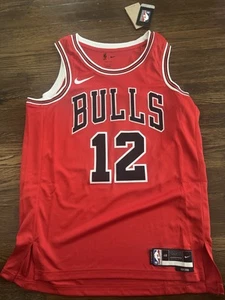 Maglia Swingman 100% Autentica Ayo Dosunmu Nike Bulls Icon Edition Taglia 48 Large - Foto 1 di 6
