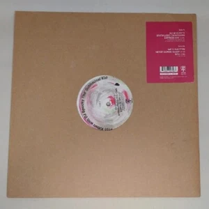 FREE KITTEN with DJ SPOOKY 12" VINYL RARE PUNK INDIE 1997 WIIIJA KIM GORDON - Picture 1 of 4