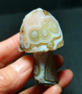 RARO 46G Natural Gobi Ágata Ojos Ágata/Hongos Curación R1288 - Imagen 1 de 16