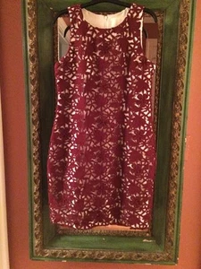 J Crew Collection schönes ärmelloses Etuikleid Guipure Spitze Gr. 6 neu mit Etikett - Bild 1 von 12