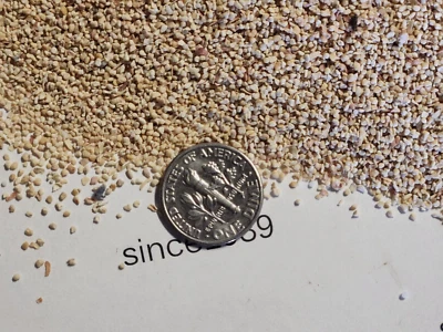 Corn Cob Media 20 - 5 Lbs. for Case Tumbling, Ammo Reloading and Shooting