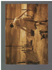 B3695- 2007 The Wizard of Oz Collector Cards 1-72 -You Pick- 10+ FREE US SHIP