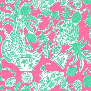 Lilly Pulitzer HTV Heat Transfer Tape Provided 33D2 Works w All Craft Cutters - Picture 1 of 5