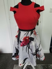 coast zoe ladder dress