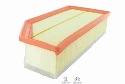 Originale Citroën 9655535780 Filtro Aria C5 III, C6 Peugeot 407 Sw Coupe Nuovo - Immagine 1 di 2