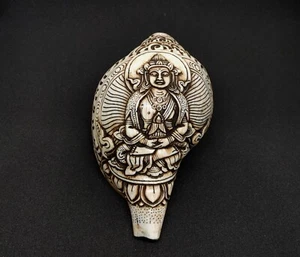 Buddhist Ritual Amitayus Buddha Conch Shell Purpose Hand carved shankha, A1 - Imagen 1 de 6