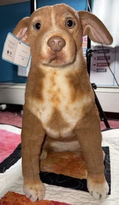 "Perro de peluche PETSIES FOREVERS hecho a medida 16"" nuevo" - Imagen 1 de 7