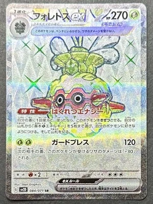 Forretress ex 084/071 Sv2d: Clay Burst Holo (Japanese) P19 - Image 1 of 2