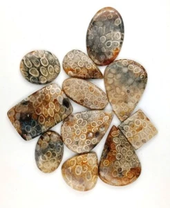 blue Fossil Coral Natural Cabochon, Fossil Coral stone Handmade Gemstone 71758 - Picture 1 of 11