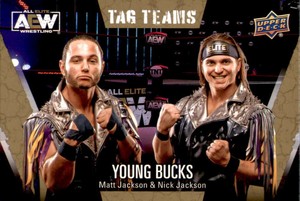 2021 Upper Deck All Elite Wrestling AEW Gold  Pick Your Card Complete Your Set