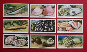 WILLS 9 VINTAGE 1938 CIGARETTE CARDS THE SEA SHORE  4-11--12-13-14-15-16-17-18