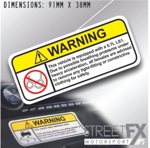 Visor Warning Sticker LS1 for Corvette Cadillac Chevy Z06 C5 CTS - Picture 1 of 3