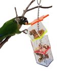 Fun Three Layer Plastic Box Durable Bird Foraging Toys