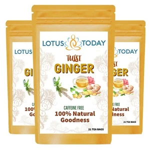 Organic Ginger Tea with Tulsi Herbal Tea Immune Support Holy Basil 20 tea Bags - Picture 1 of 3