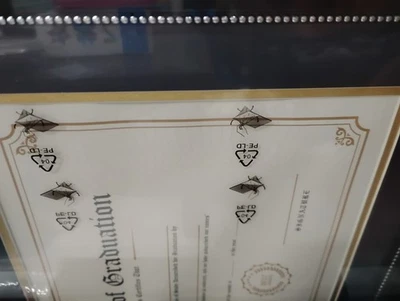 批量 2 - 8.5 英寸 x 11 英寸文凭框架黑色带银珠 — 第 1/4 张图片