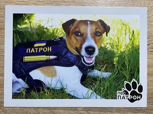 Ukraine 2022 Postcard "Dog Patron" - Picture 1 of 2