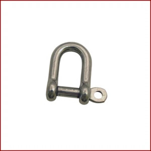 1/4" Type 316 Stainless Steel Straight "D" Shackle - Picture 1 of 2