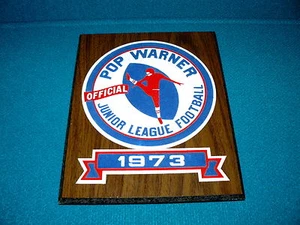 Vintage! POP WARNER FOOTBALL : Logo WOOD PLAQUE w/Felt Applique @ 1973 Official - Picture 1 of 1