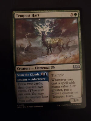MTG: Tempest Hart - WOE 0238 Uncommon M/NM - Image 1 of 2