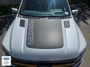 FITS 2021-2025 Ford F150 Platinum/Tremor Hood Stripe Vinyl Sticker Decal V3 - Foto 1 di 12