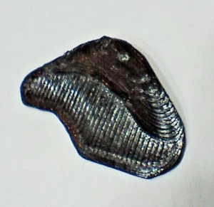 Nikon Coolpix B700 and P610 Rear Panel Thumb Grip - Picture 1 of 7