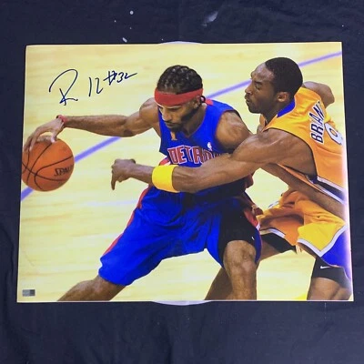 Foto firmada por Richard Rip Hamilton 16x20 Detroit Pistons autografiada Steiner CX Foto 1 de 3