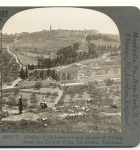 Garden Of Gethsemane & Mount of Olives Jerusalem Keystone Stereoview c1900 - Bild 1 von 4