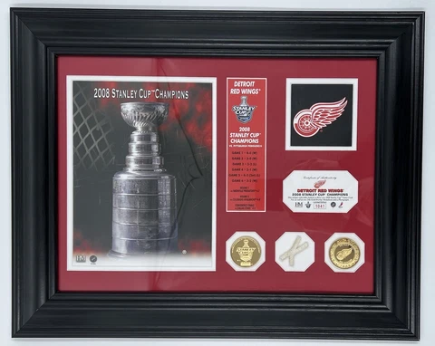 Detroit Red Wings 2008 Stanley Cup Champions Plaque #1041 Gold Coins/Game Net Cover