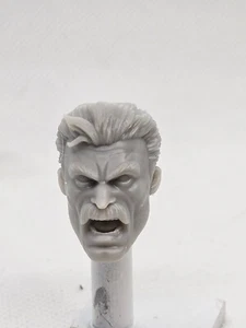 Cabeza OMNI-MAN KEEL HAUL YELL impresa en 3D 1:12 6" Clasificada GI Joe/Leyenda de Marvel - Imagen 1 de 2