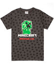 Minecraft Grey Short Sleeved T-Shirt (Boys)