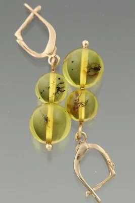 Pendientes Cuentas Redondas Insectos Fósiles Oro 14K Ámbar Báltico Genuino 2.8g 200819-3 Foto 1 de 4