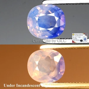 💎 GLC Report 1.00ct Cushion Color Change Sapphire - Unheated, Mozambique Gem - Picture 1 of 7