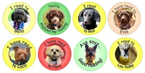 48 x 3cm circular Reward stickers for PAT Therapy reading dogs or similar - Picture 1 of 1