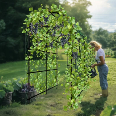 Tall Garden Arch Trellis for Climbing Plants Outdoor Metal Plant Support Archway - image 1 of 4