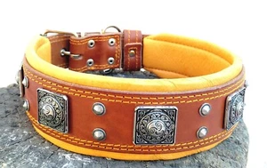 Bestia studded dog collar. 2.5 inch wide. Hand made in Europe. Top quality. XXL - Picture 1 of 11