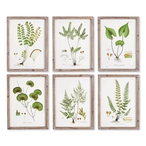 Juego de arte de pared botánico vintage Cottagecore - helechos, juego de 6 - Imagen 1 de 18