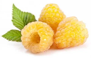 1 Pack 100 Yellow Raspberry Seeds Rubus idaeus Seed Organic Fruit - Picture 1 of 3