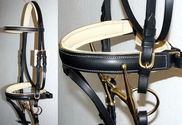 FSS Немецкие ШИКАРНЫЕ КРЕМОВЫЕ ЗОЛОТЫЕ Трубопроводы ЛАТУНЬ Комфорт Шатуны Уздечка Вожжи для Выездки - Изображение 1 из 1