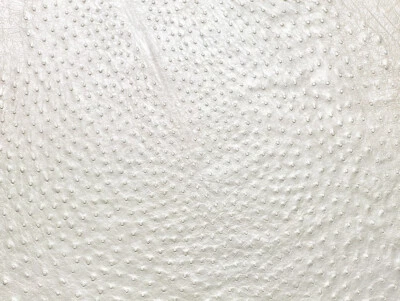 Piel de cuero de avestruz blanco perla Foto 1 de 4