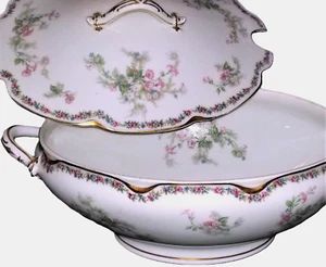 SOPA, tazón para verduras, cubierto, Haviland, Limoges, Offner, Nueva Orleans, 13 - Imagen 1 de 12