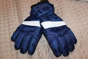 BNWT CANYON RIVER BLUES BOYS MEDIUM THINSULATE WINTER GLOVES BLUE & WHITE - Picture 1 of 2