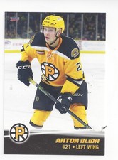 2016-17 Providence Bruins (AHL) Anton Blidh