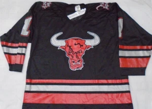 Vintage WWF Titan Sport The Rock Wrestling People's Champ Hockey Jersey Size XL - Picture 1 of 2