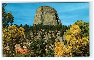 Teufelsturm vom Camp Ground National Monument Wyoming Postkarte - Bild 1 von 2