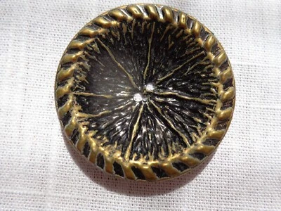 Gold-Toned Sand Dollar Designed 2 hole Button Vintage (#3715) - Image 1 of 4