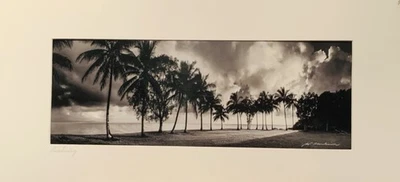 📷 Awakening -Signed Wayne Parkinson -Black & White Photograph –Port Douglas FNQ - image 1 of 4