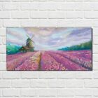 Plexiglas® Print Wall Picture 100x50 Painting Meadow Mill Clouds Sky Landscape 