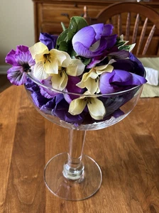 Copa de champán vintage Princess House grande de 10,5" de largo con tallo transparente NOVEDAD - Imagen 1 de 6